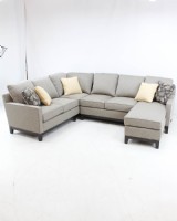 Hallagan sectional in revloution fabric