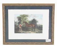 British Racehorse Orville Engraving