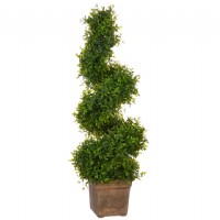 "27.5"" Spiral Boxwood Topiary"
