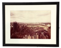 Central Park Photograph
