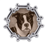 Dog Bone Round 5x5 Frame*