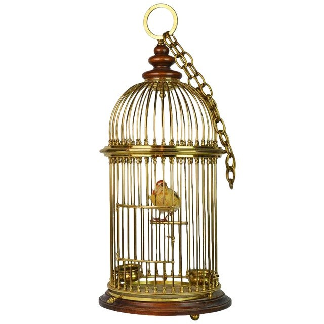 Brass & Walnut Birdcage