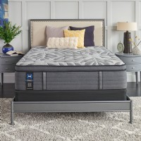 Satisfied II Soft Euro Pillow Top
