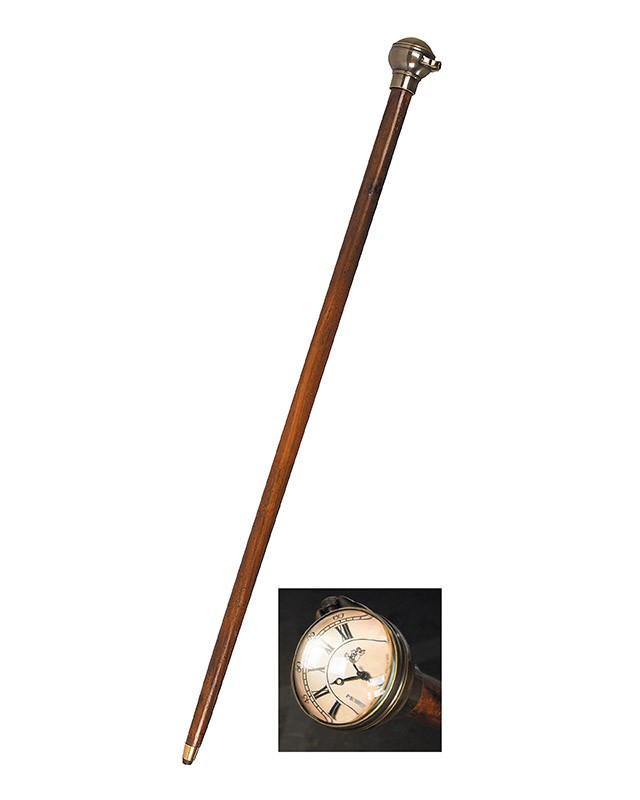 Time Companion Walking Stick