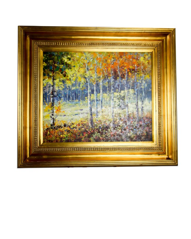 Fall Birch Forrest