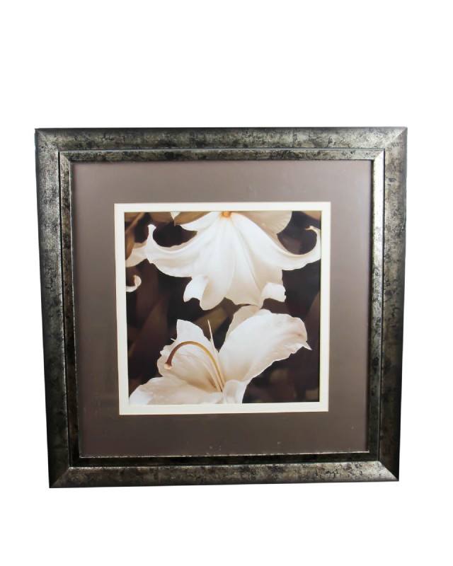 Sepia Lilies For Sale in CT | Middlebury Furniture and Home Design