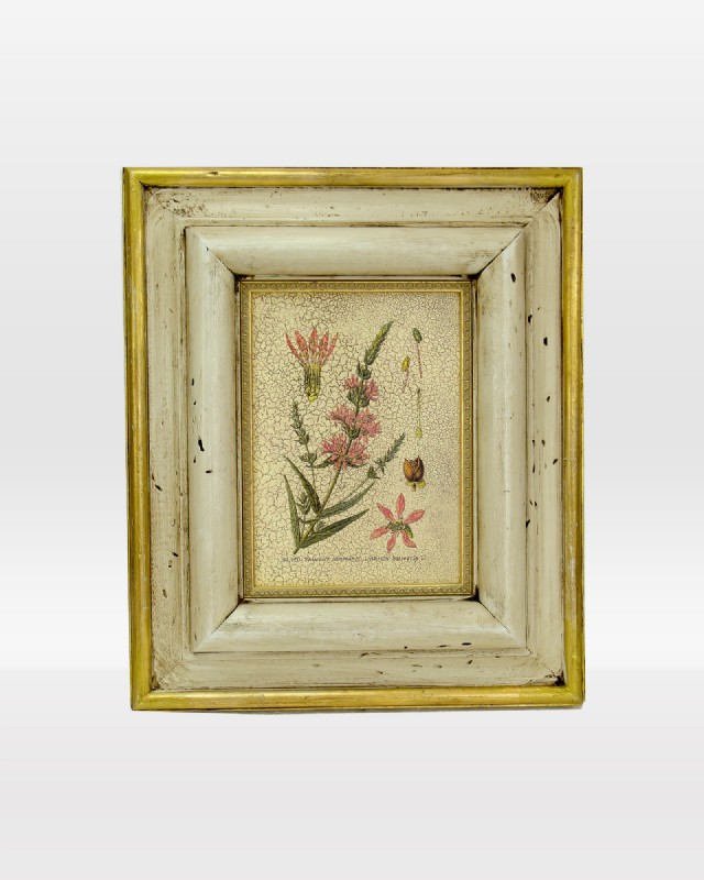 Floral Botanical Name Print on Wood