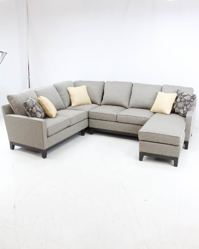 Hallagan sectional in revloution fabric