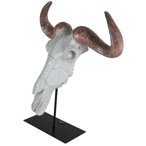 Buffalo Skull in Antiqued Ivory