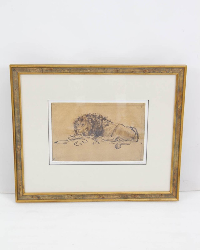 Framed "A Lion Lying Down" Lithograph