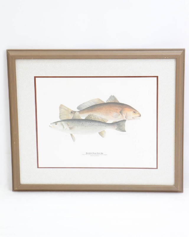 Jim Bonner Ltd Edit Print