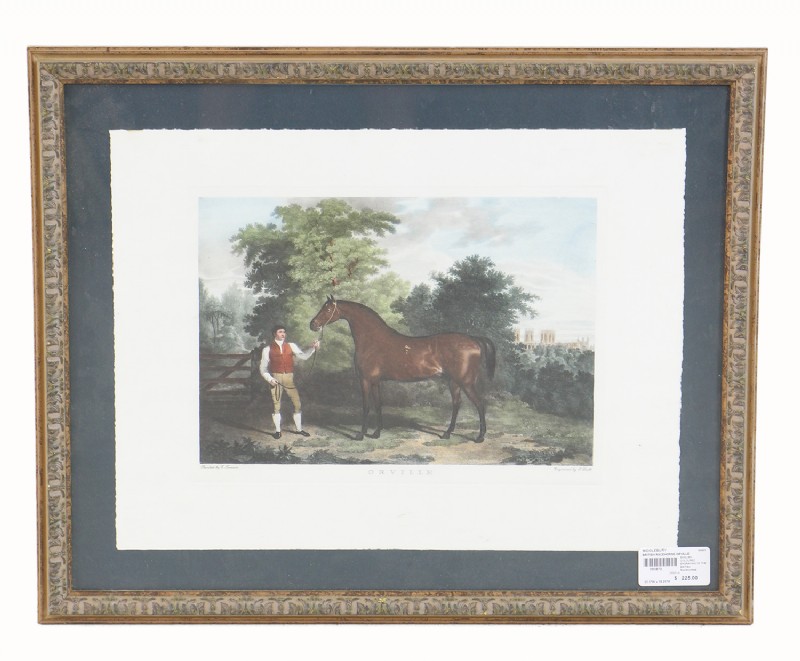 British Racehorse Orville Engraving