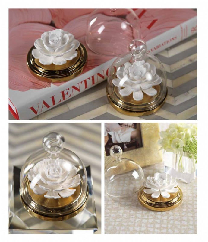 AFRICAN DAISY DIFFUSER