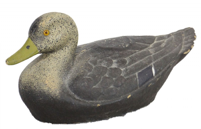 Black Duck Decoy