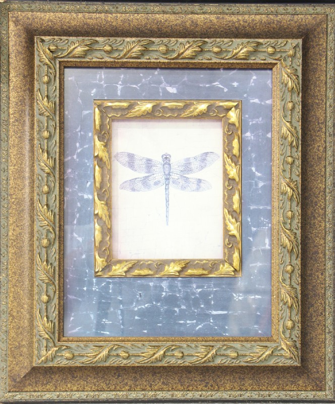 Brown Spotted Dragonfly Framed Art Print