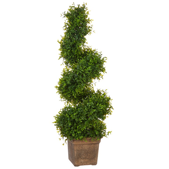 "27.5"" Spiral Boxwood Topiary"