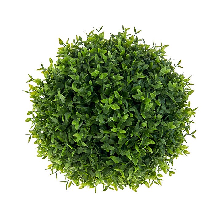 BOXWOOD BALL