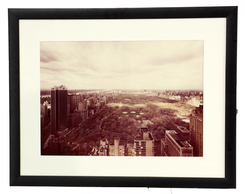 Central Park Photograph