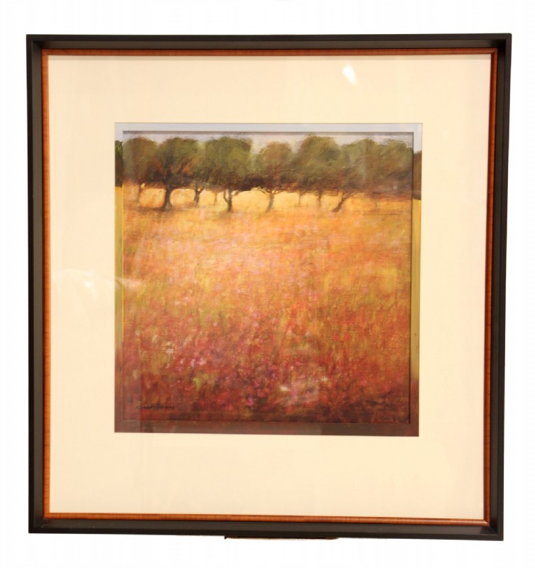 Framed Landscape Print