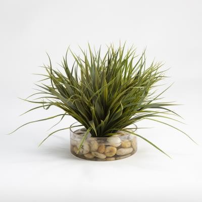 Potted Grass