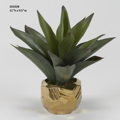 Gold Potted Succulents