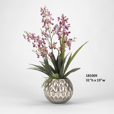 Potted Orchids
