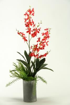Red Orchids