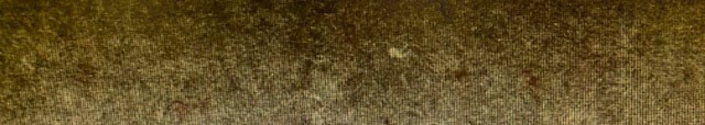Extra Plush Premium Rug Pad