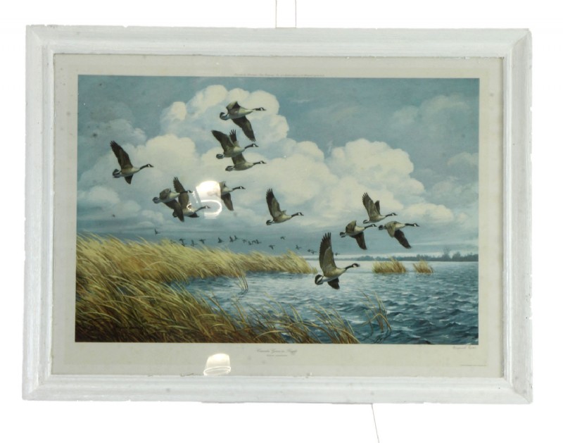 "Canada Geese in Flight" signed