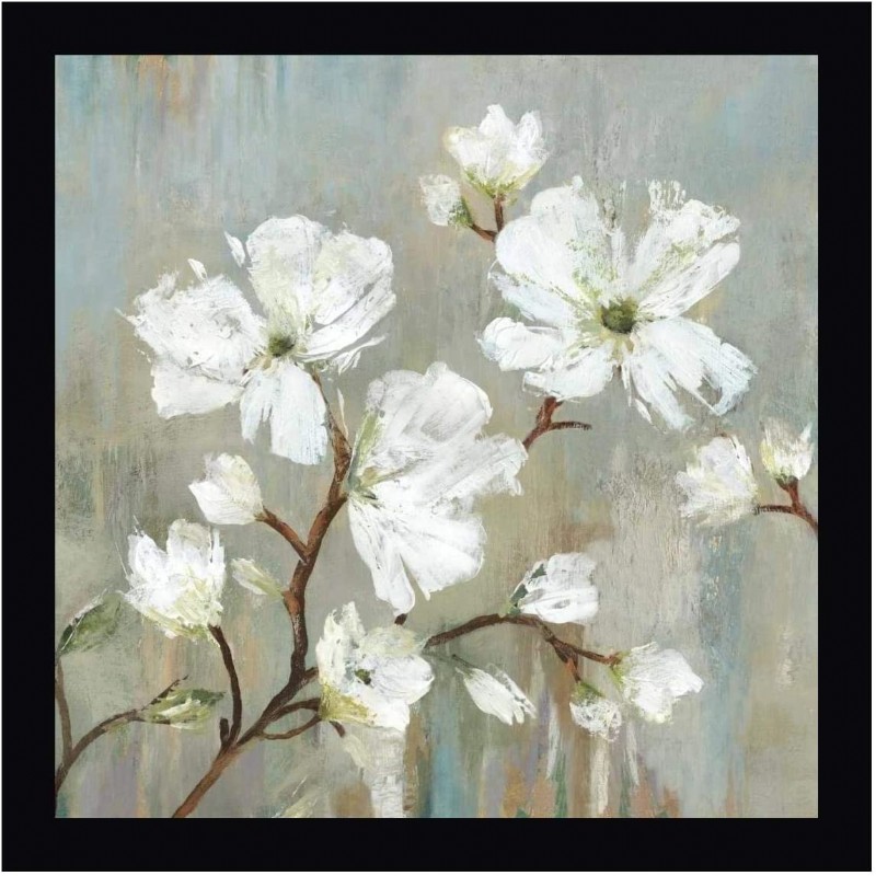 Sweetbay Magnolia