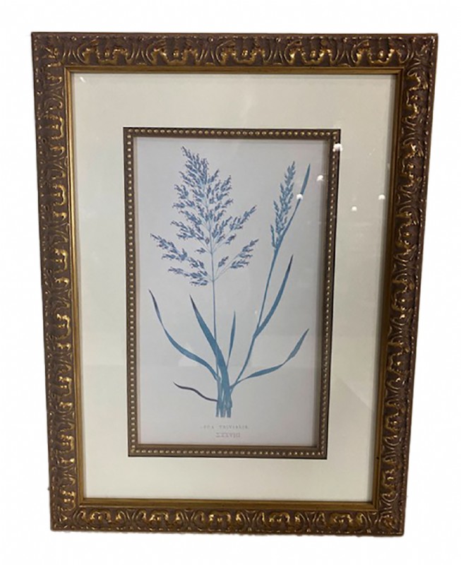 Framed Floral Print