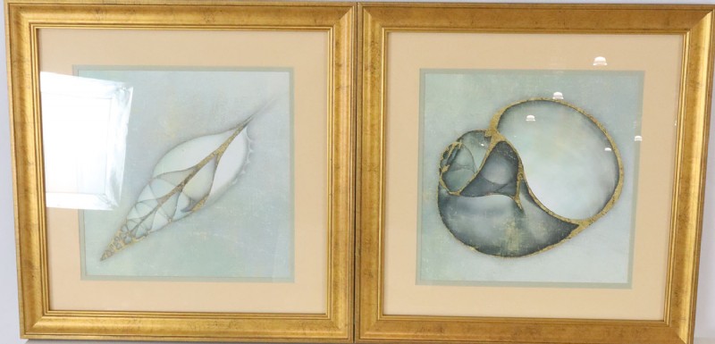 Pair of Framed Urchin Prints