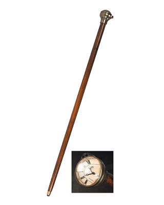 Time Companion Walking Stick