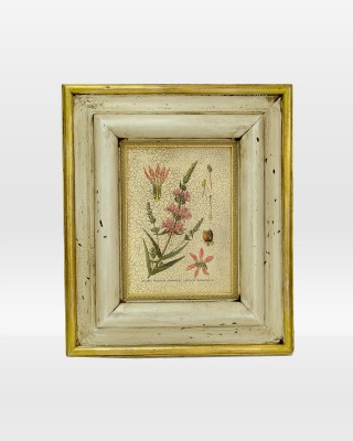 Floral Botanical Name Print on Wood
