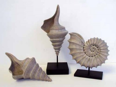 SEASHELL SCUPLTURE