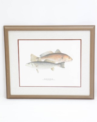 Jim Bonner Ltd Edit Print