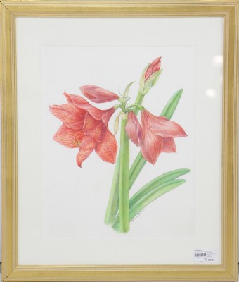 Watercolor of a Wild Lilly