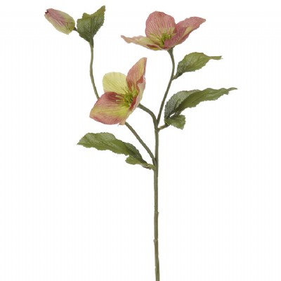 FLORAL SPRAY