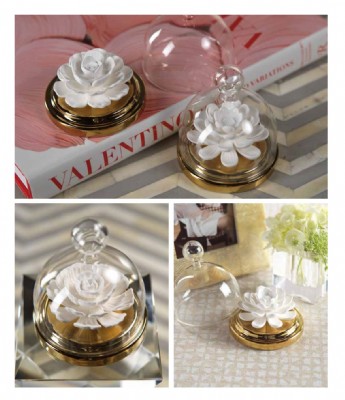 AFRICAN DAISY DIFFUSER