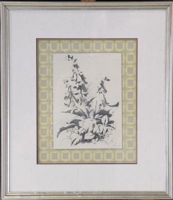 Foxglove Print
