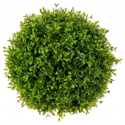 BOXWOOD BALL