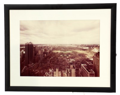 Central Park Photograph