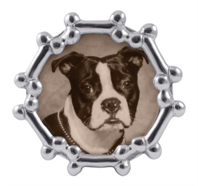 Dog Bone Round 5x5 Frame*