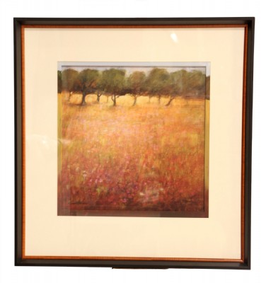 Framed Landscape Print