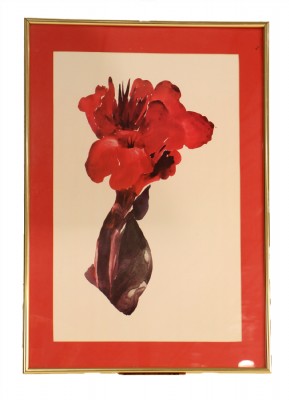 Georgia O'Keefe Flower Print