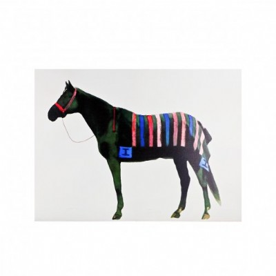 Black Horse with Stripped Blanket Print