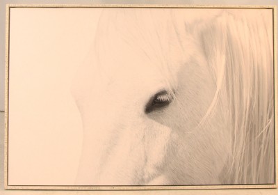 Large Framed Print of a Horse