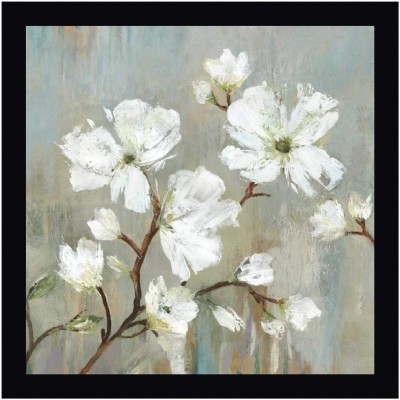 Sweetbay Magnolia