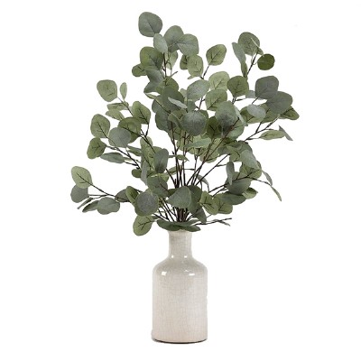 Eucalyptus in Ceramic Vase