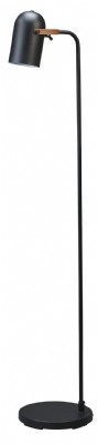 Black Finish Metal Floor Lamp